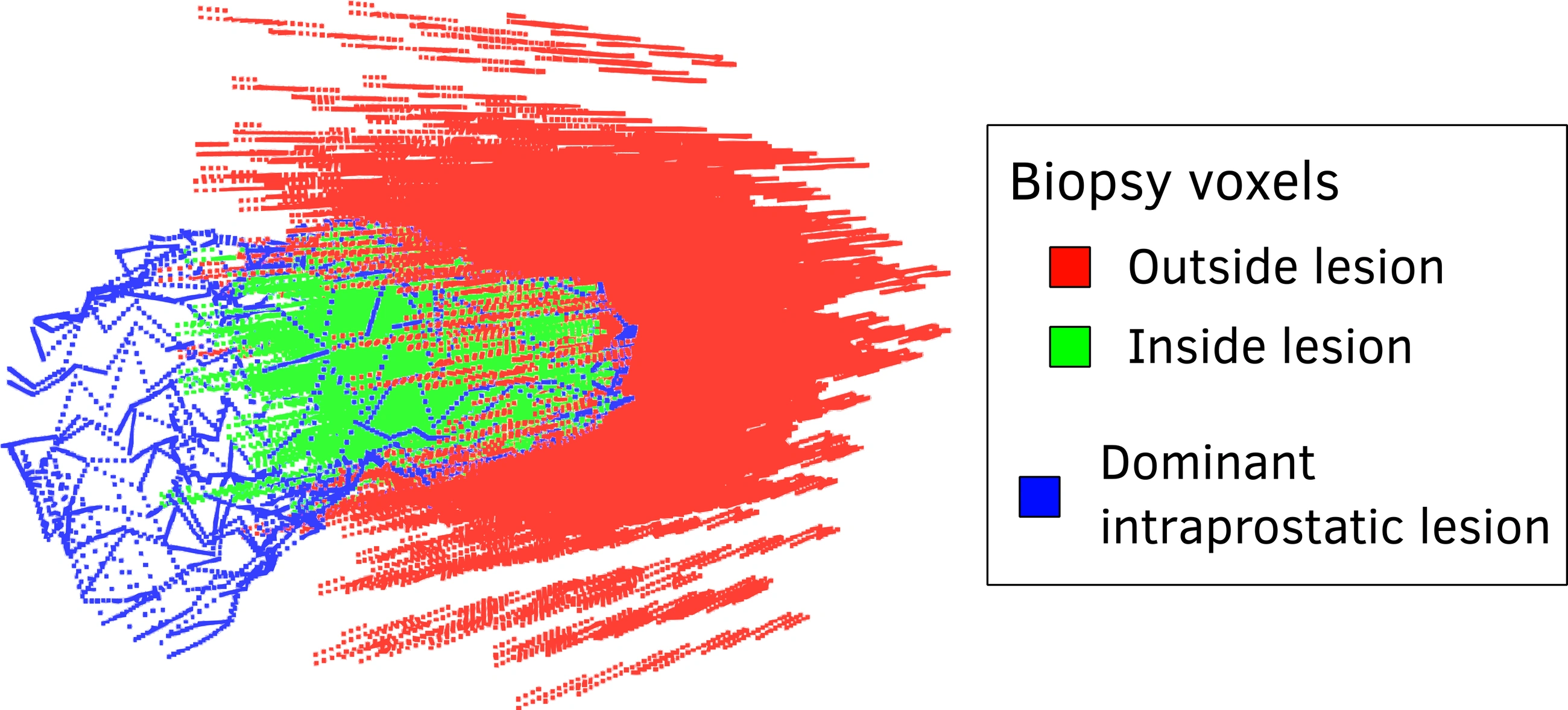 Simulated biopsy positions around a blue lesion boundary, with green positions inside the lesion and red positions outside it.